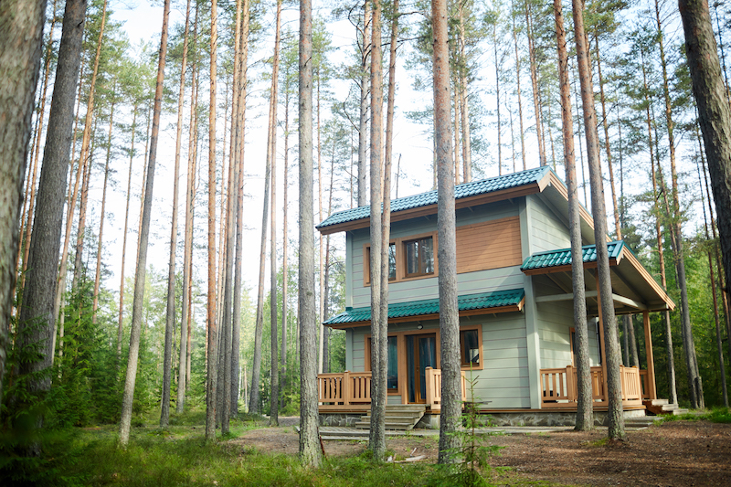 House in the forest | Winter-Dent