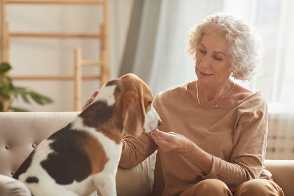 Senior Woman with Pet | Winter-Dent Senior Woman with Pet