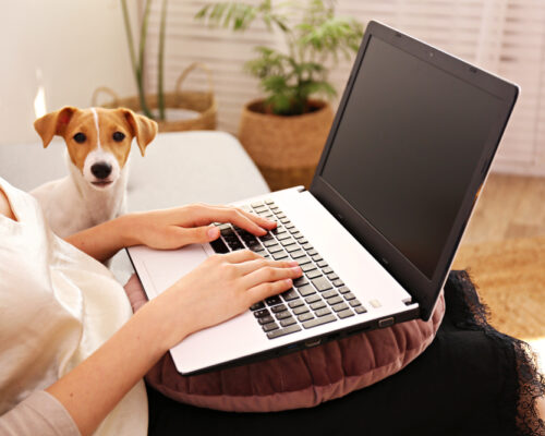 10 Keys to Making Working From Home Work