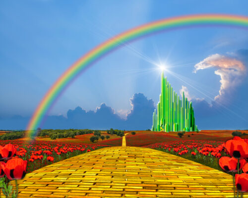 What The Wizard of Oz Has To Do With Your Risk Management Advisor